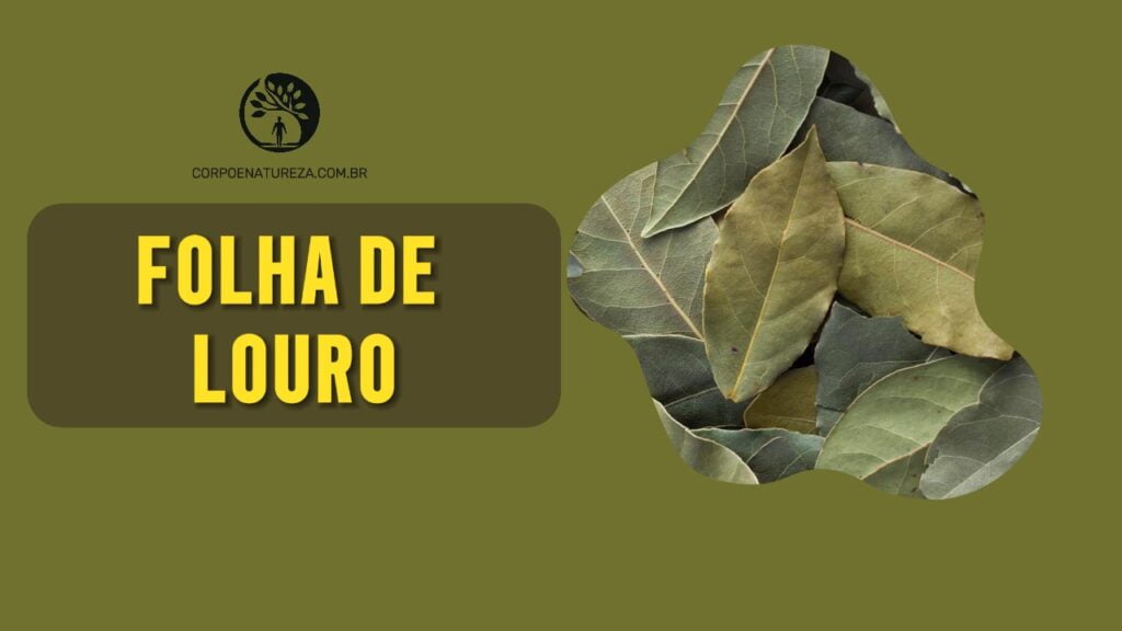 benefícios da folha de louro