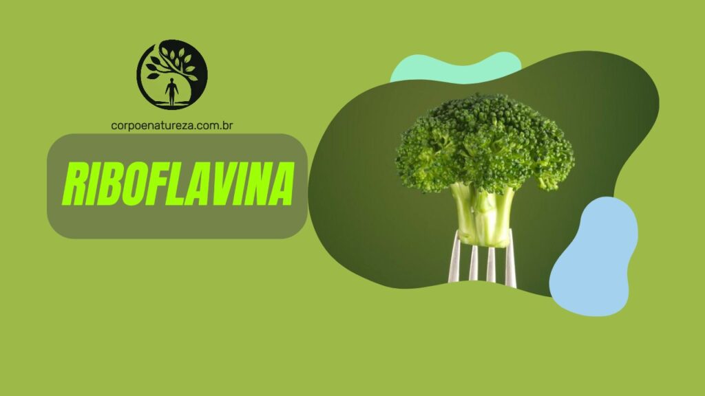 texto o que é riboflavina