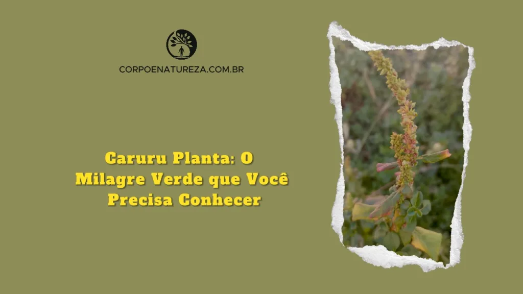 caruru